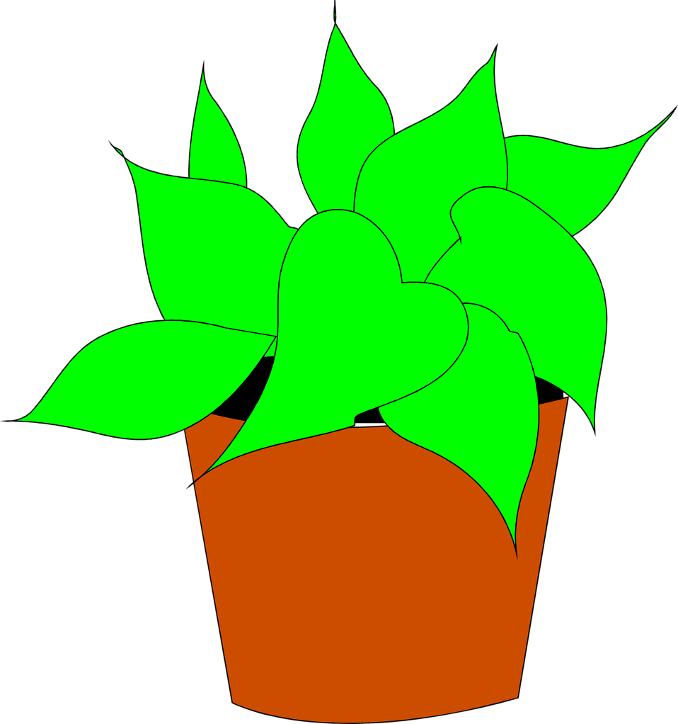958x1022 Plant Clipart Potted Plant