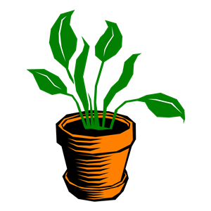 300x300 Pot Plant Clipart May