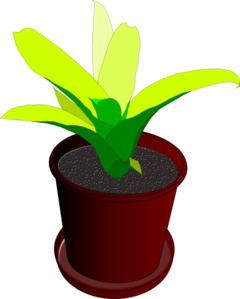 240x299 Potted Plant Clip Art
