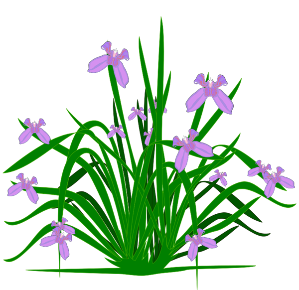 600x582 Clip Art Pot Plant Clipart
