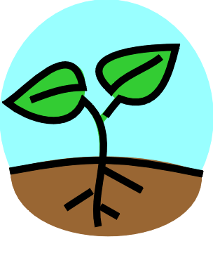 304x367 Growing Plant Clipart Free Images 4
