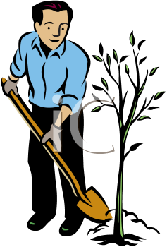 237x350 Plant Clipart Tree Growing