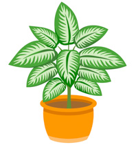 201x210 Plants Clipart