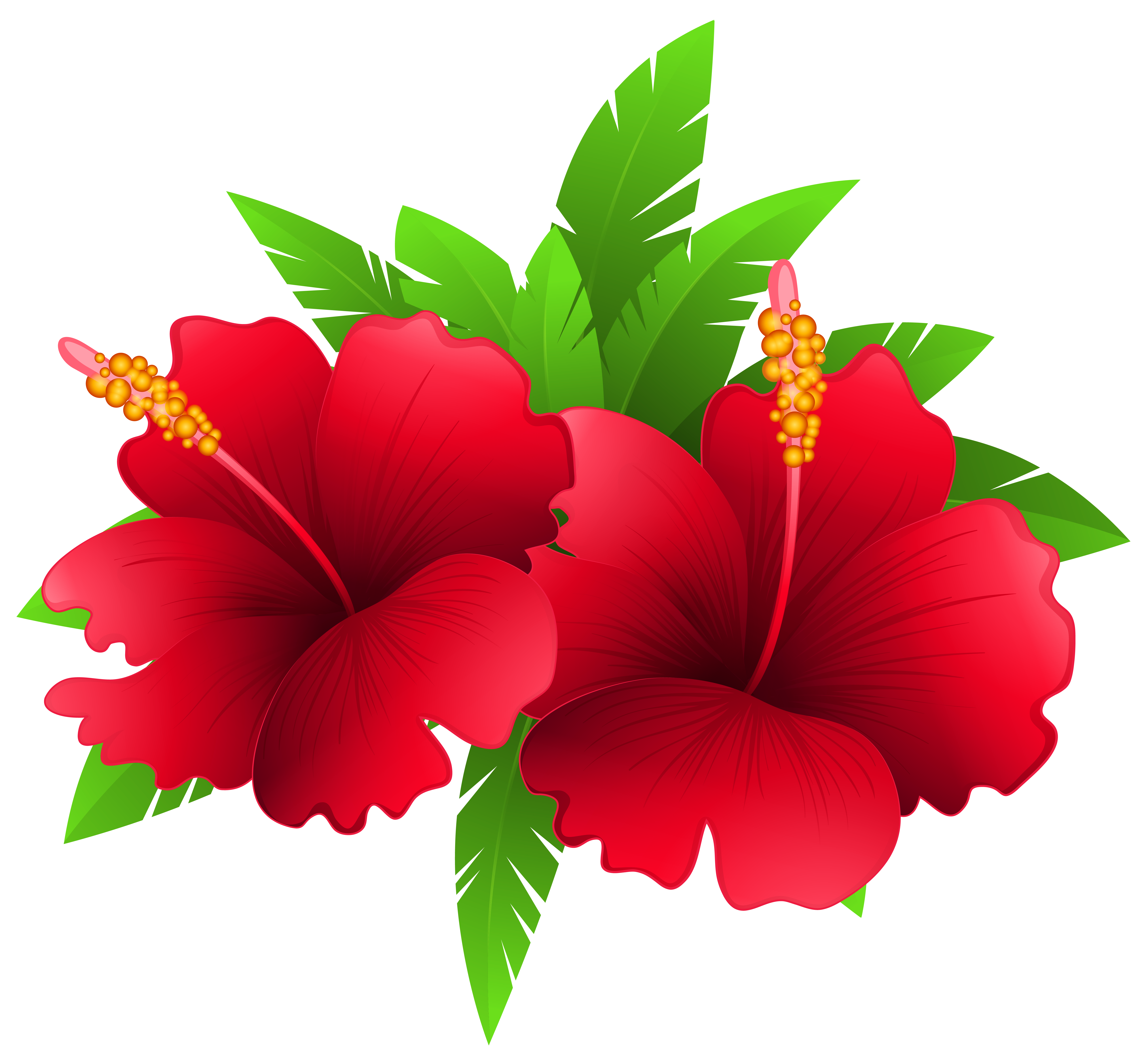 6283x5825 Exotic Flowers And Plant Png Clipart Imageu200b Gallery Yopriceville