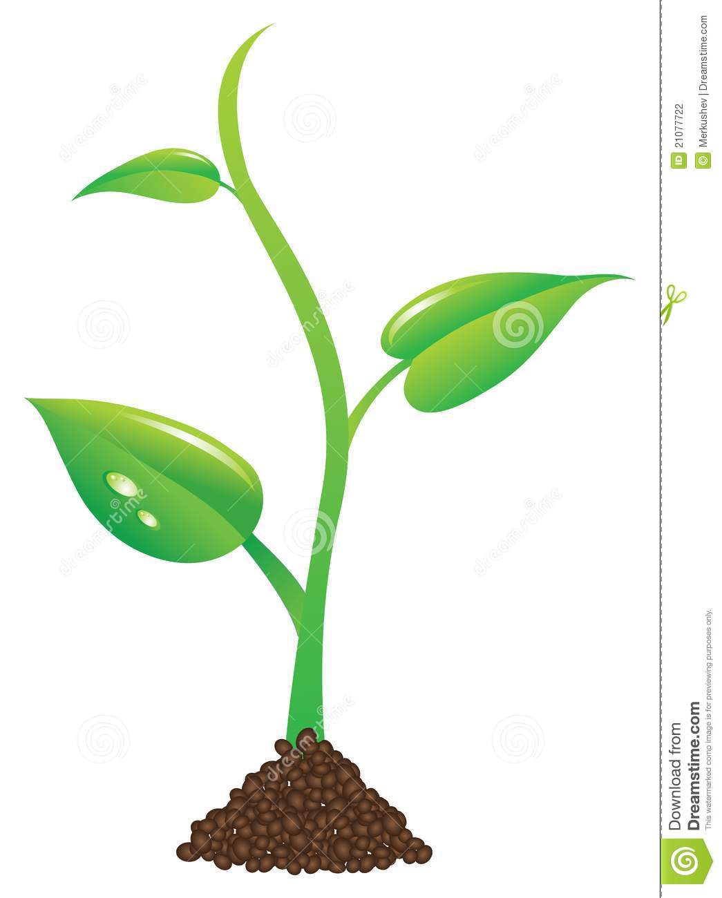 1045x1300 Green Plant Clipart