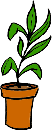 200x505 Potted Plant Drawing Clipart Panda