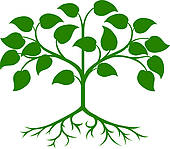 170x149 Plant Roots Clip Art