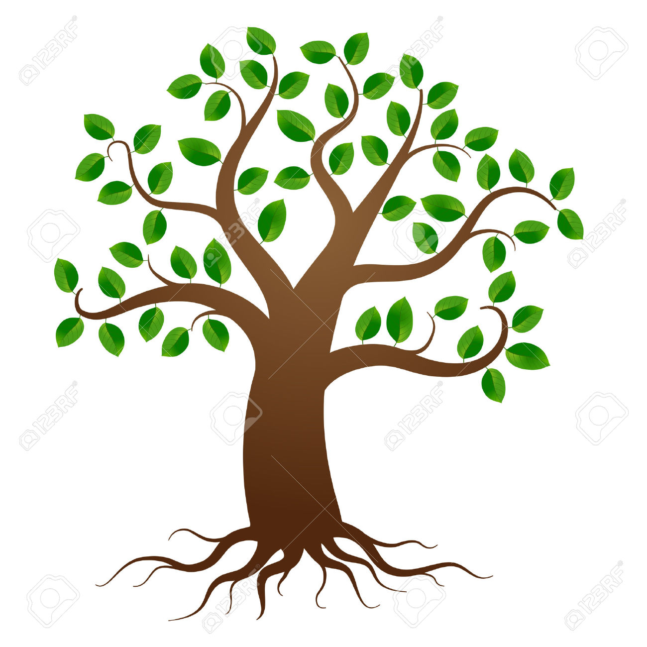 1300x1300 Roots Clipart Branch