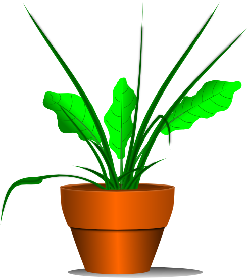 489x550 Plant With Roots Clipart Young Plant