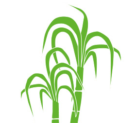 280x255 Sweetening The Future