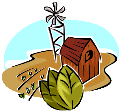 390x360 Tobacco Clipart Cotton