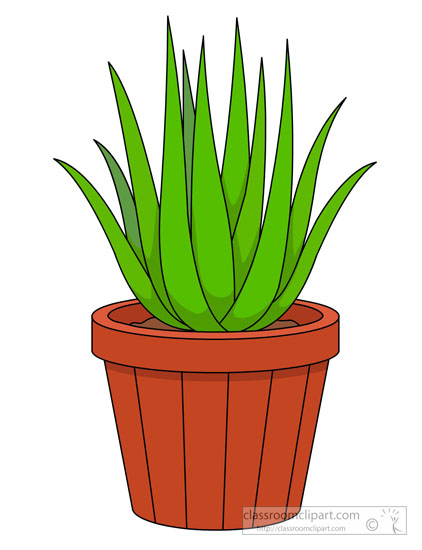 422x550 Clipart Plant