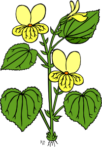 207x297 Floral Plant With Green Leaves Clip Art Free Vector 4vector