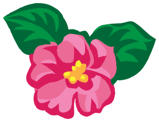 312x240 African Violet Clip Art