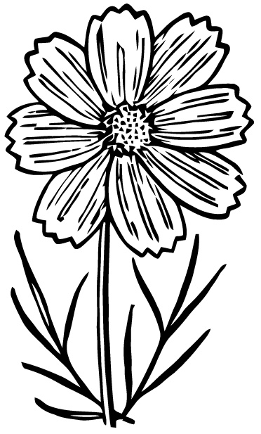 372x617 208 Best Vintage Black Amp White Clip Art Images Clip