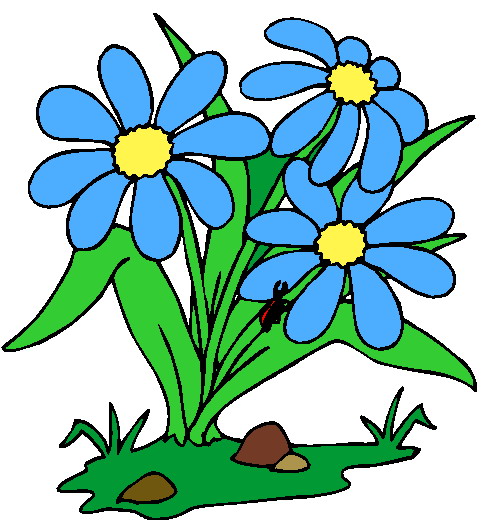 490x520 Flower Plants Clipart