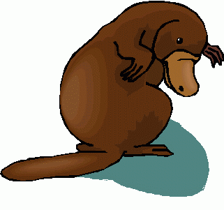 321x301 Platypus Clipart 6