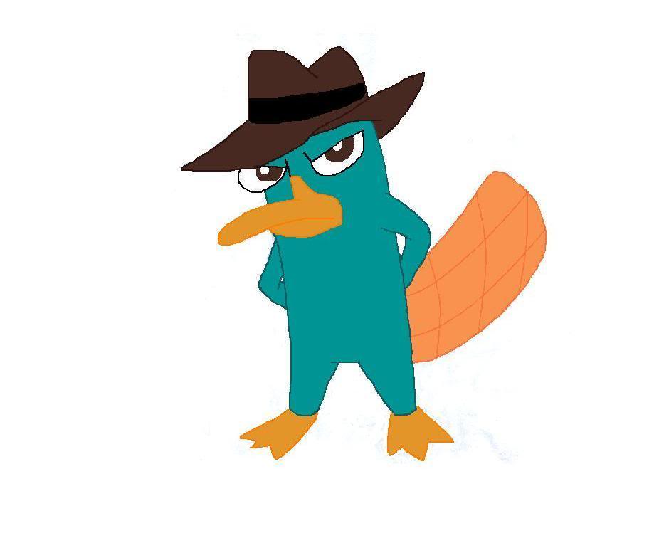 926x770 Platypus Clipart Foot