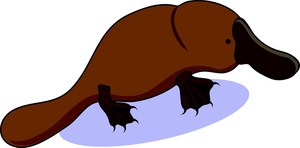300x148 Platypus Clip Art 5 300x148 Clipart Panda