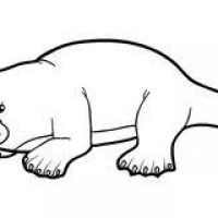 200x200 Platypus Clipart