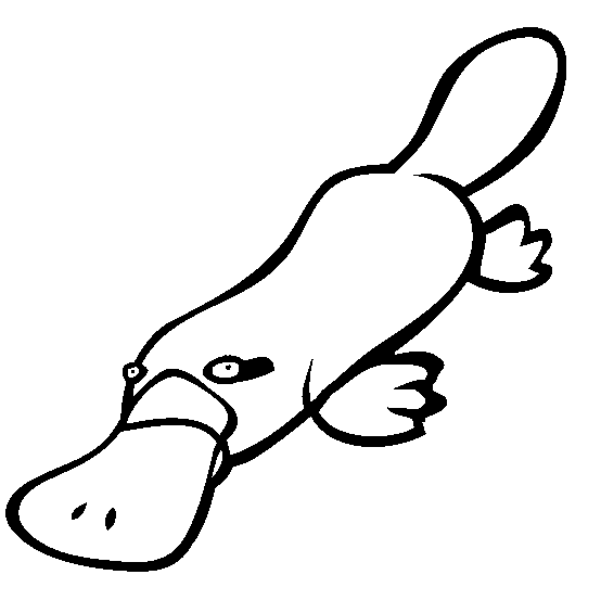 554x565 Platypus Clipart 10