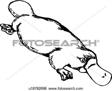 450x366 Platypus Clipart Drawing