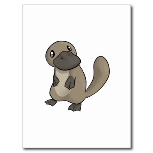 512x512 Cartoon Platypus Free Download Clip Art On 3