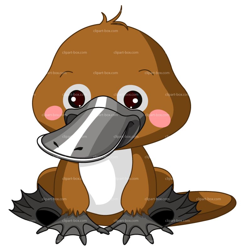 800x800 Platypus Cartoon