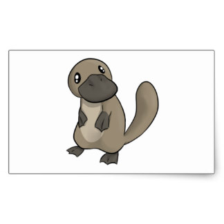 324x324 Platypus Cartoon Stickers Zazzle
