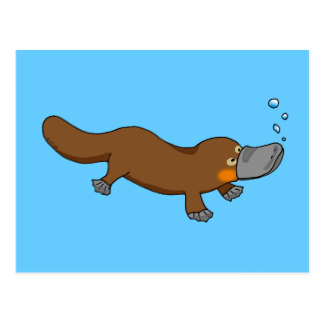 324x324 Platypus Clipart Duck Billed