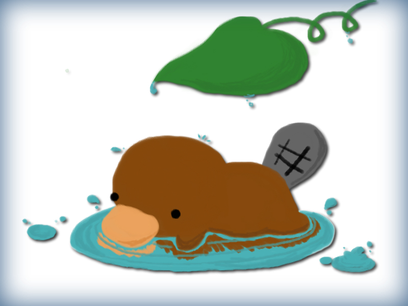 800x600 Platypus Clipart Kawaii