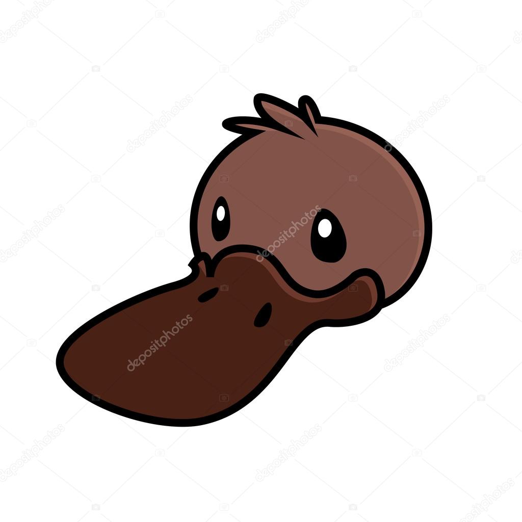 1024x1024 Duckbill Or Platypus Head Stock Vector Annasuchkova