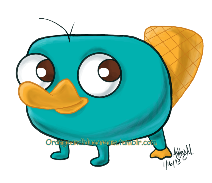 900x777 Baby Perry The Platypus By Orangebluecream