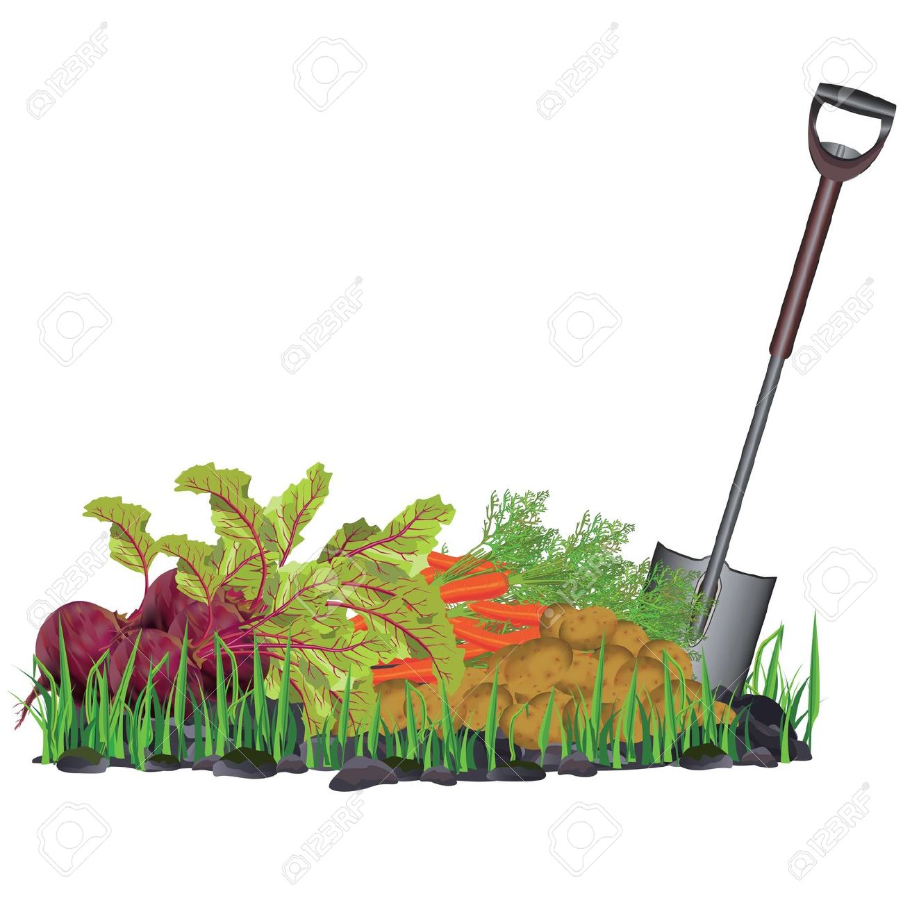 1300x1300 Garden Plot Clipart