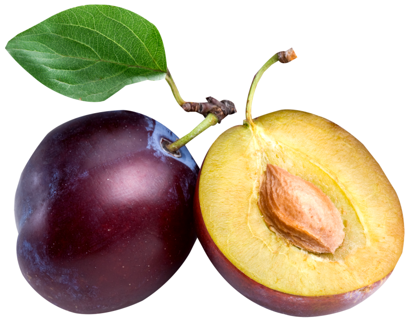 819x646 Large Plum Png Clipartu200b Gallery Yopriceville