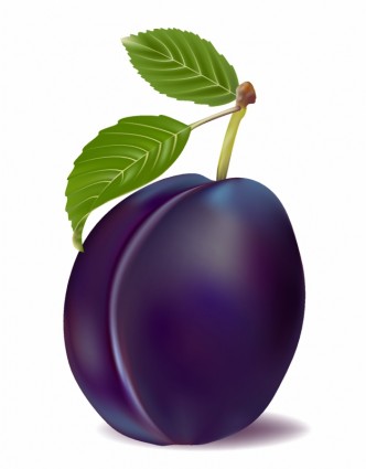 332x425 Plum