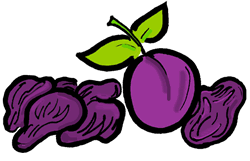 250x161 Plum Clipart Prunes
