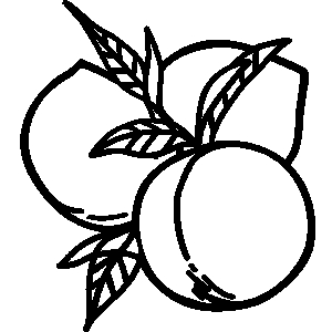 300x300 Plum Food Cliparts