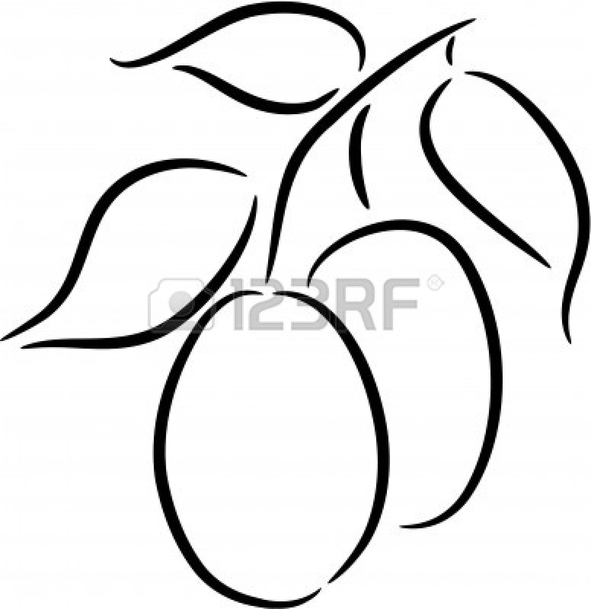1164x1200 White Plum Clipart