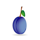 170x170 Plum Stock Illustrations