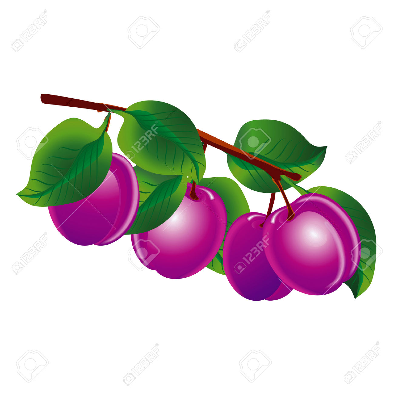 1300x1300 Plum Tree Clipart