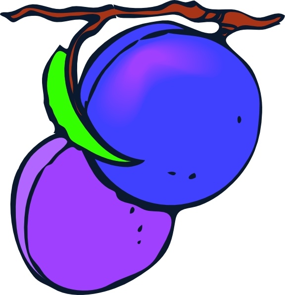 576x596 Plums Clip Art Free Vector In Open Office Drawing Svg ( Svg