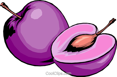 480x316 Sliced Plums Royalty Free Vector Clip Art Illustration Food0202