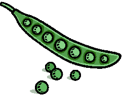 243x191 Lima Beans Clipart Pod