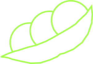 300x207 Pea Pod 3 Clip Art