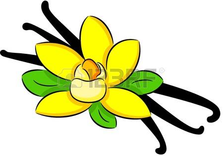 450x316 Pod Shaped Petals Clipart