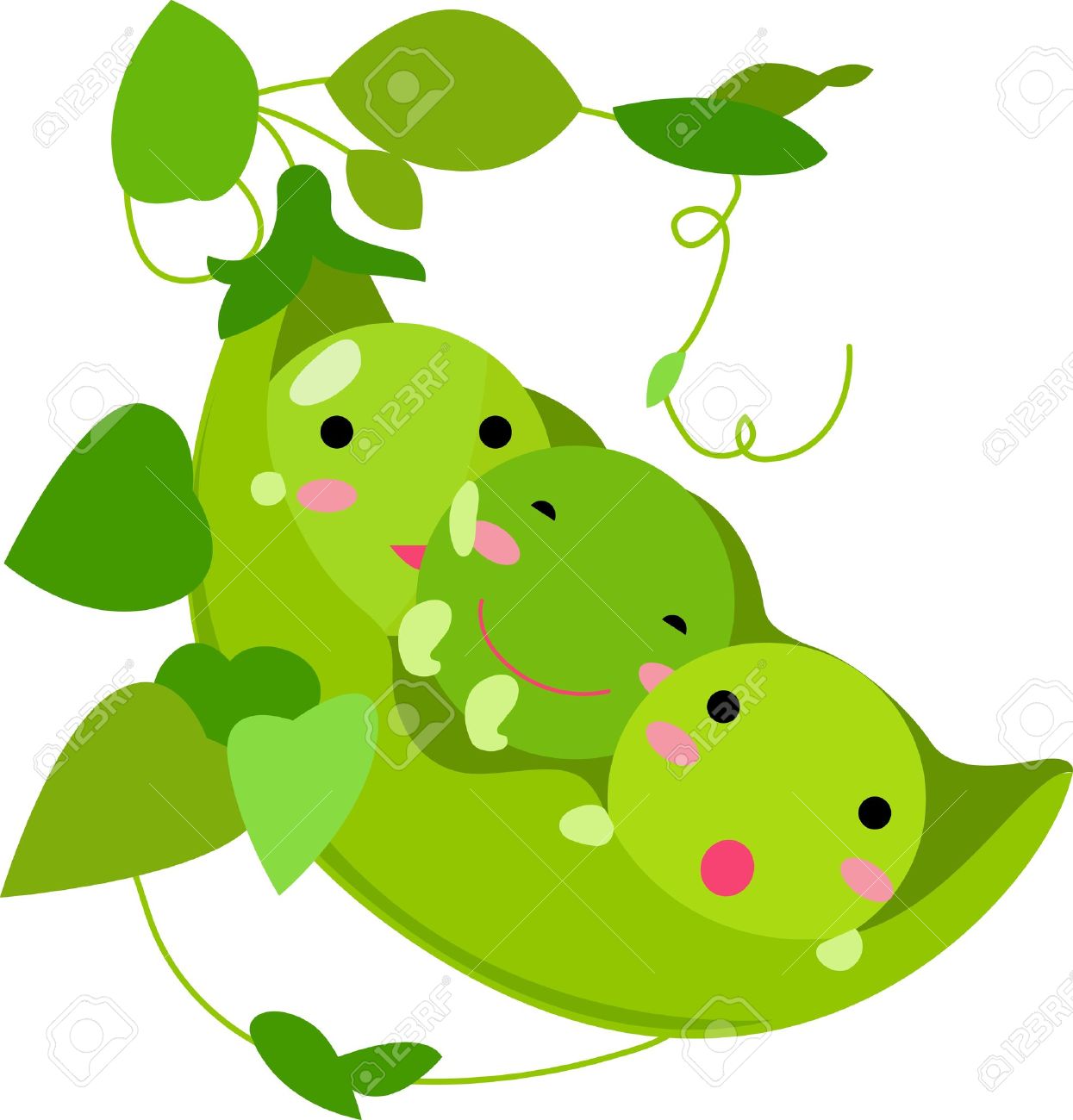 1245x1300 The Pods Clipart