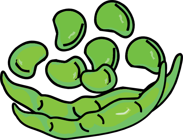 600x459 Beans And Pod Clip Art