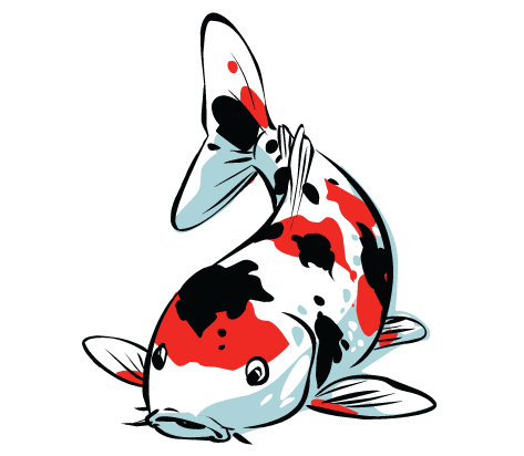 473x412 Koi Fish Clipart