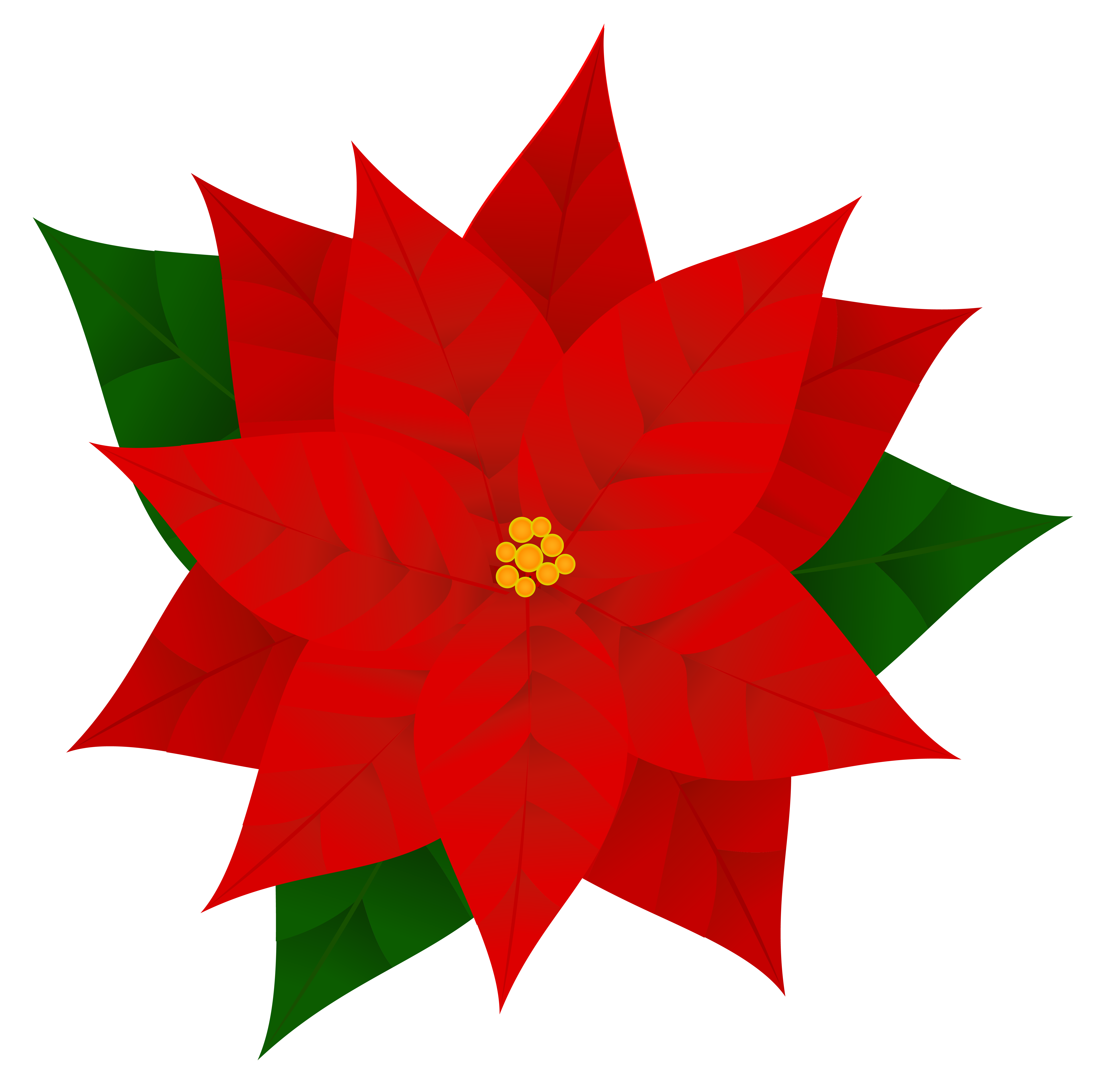 6032x6019 Petal Clipart Poinsettia